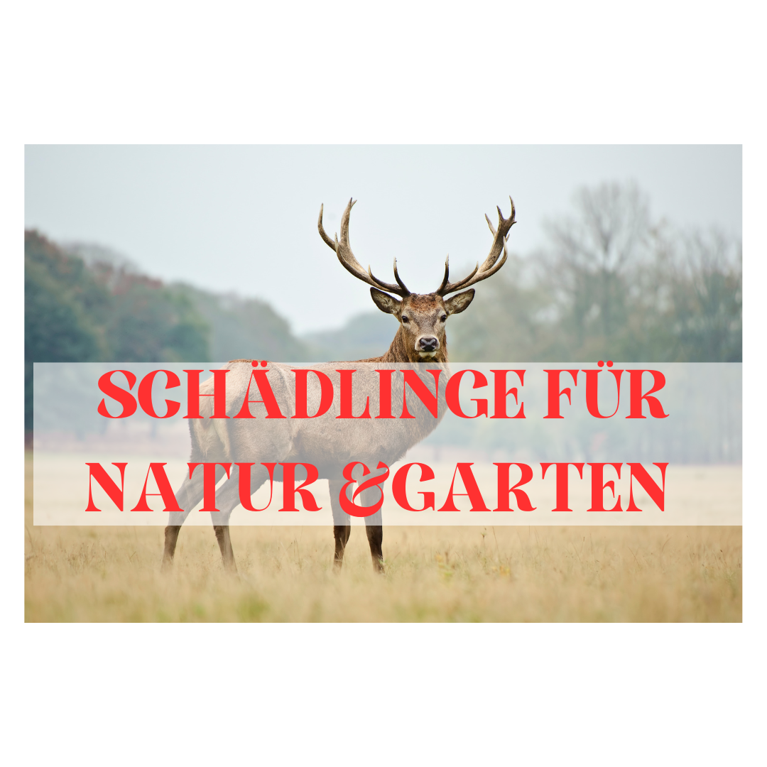 Schädlinge