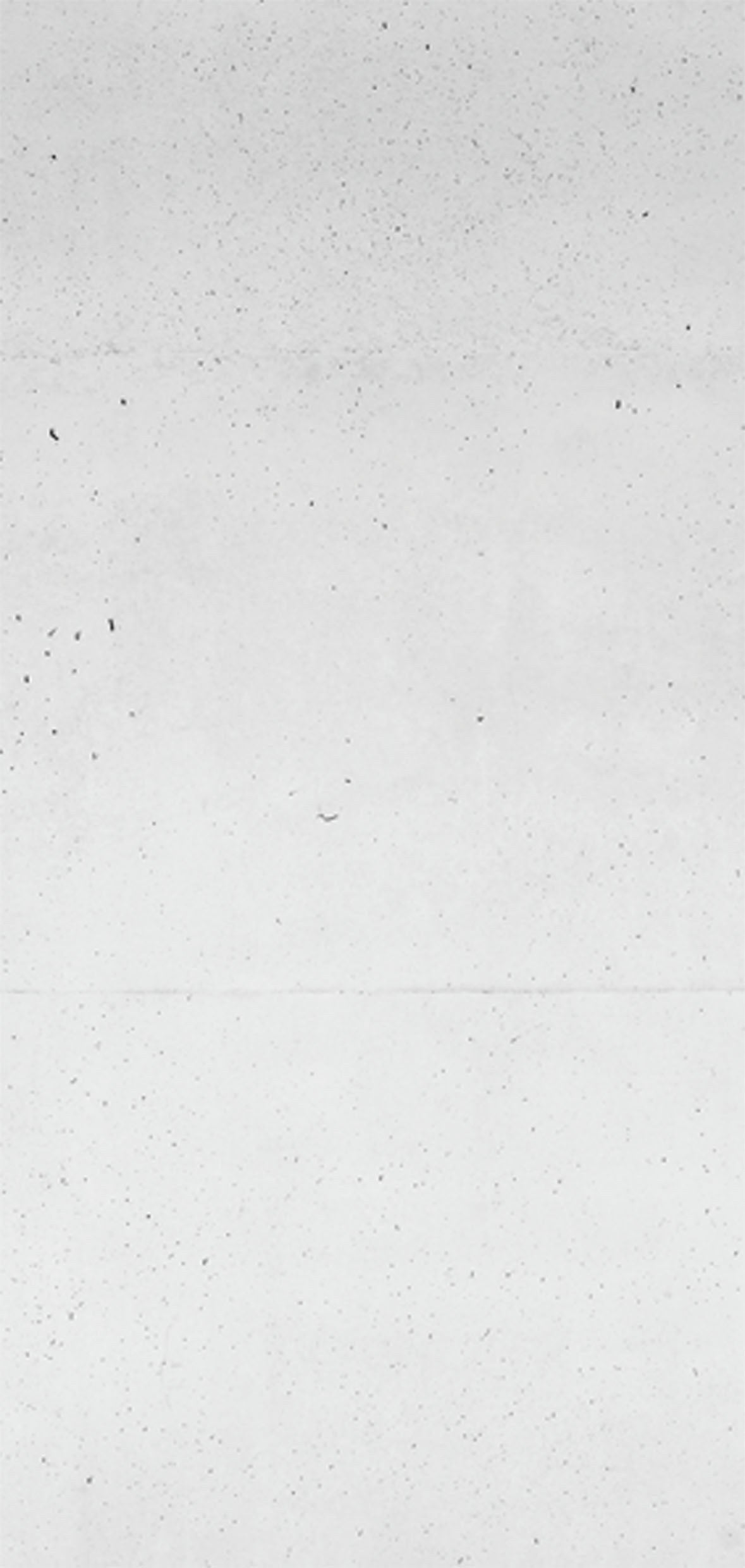 Sanotechnik - SANOWALL BETON Wandverklediung 100x205x0,3cm