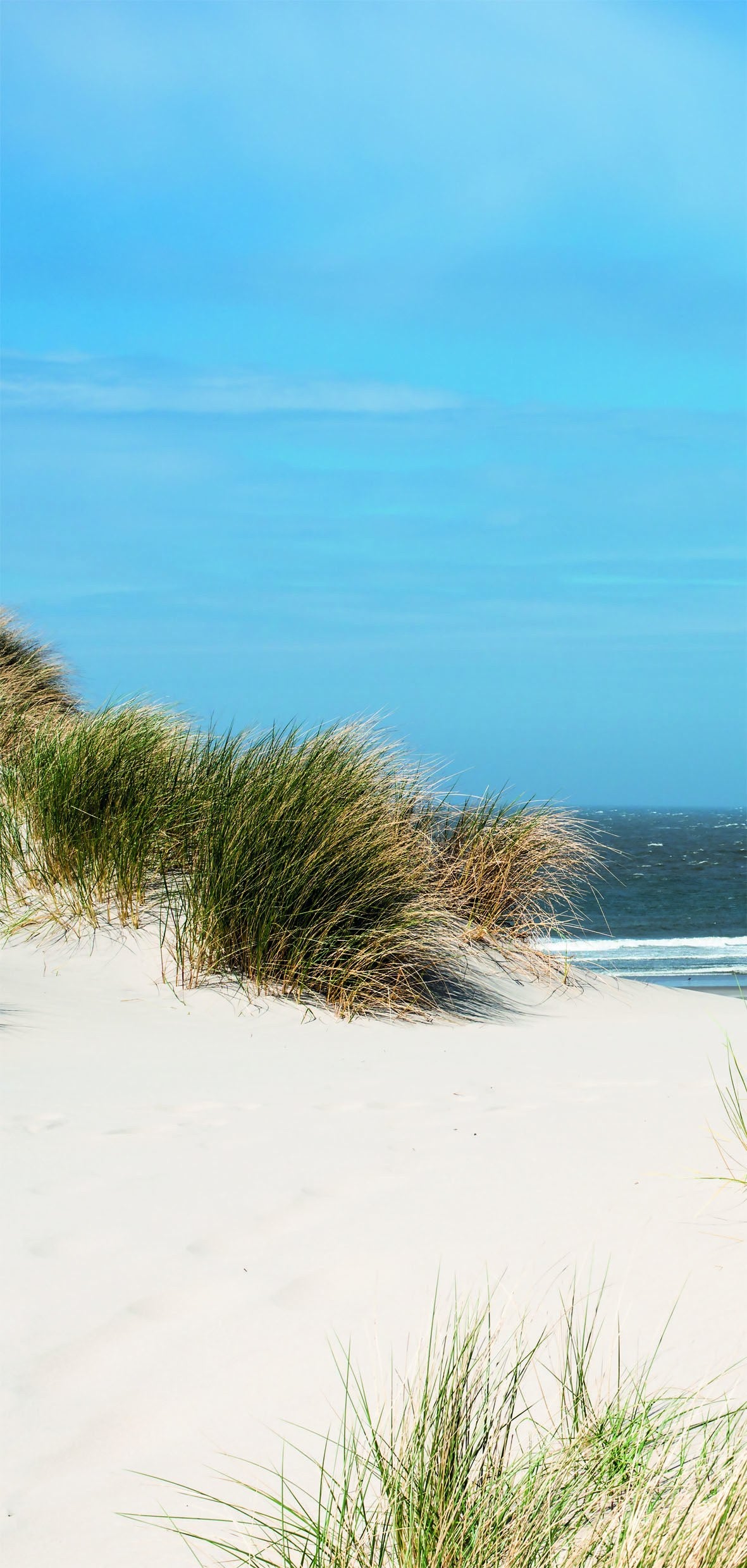Sanotechnik - SANOWALL NORDSEE LINKS Wandverkleidung 125x250x0,3cm