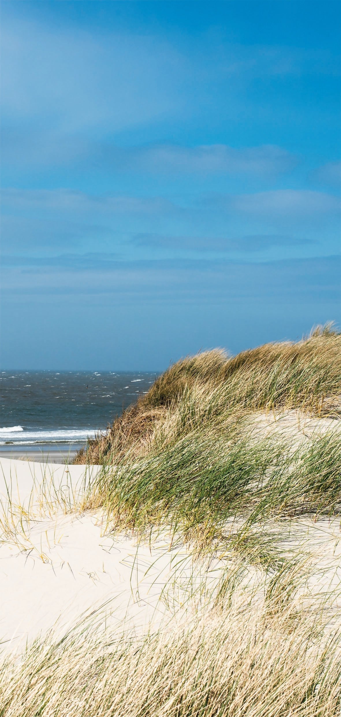 Sanotechnik - SANOWALL NORDSEE RECHTS Wandverkleidung 100x205x0,3cm