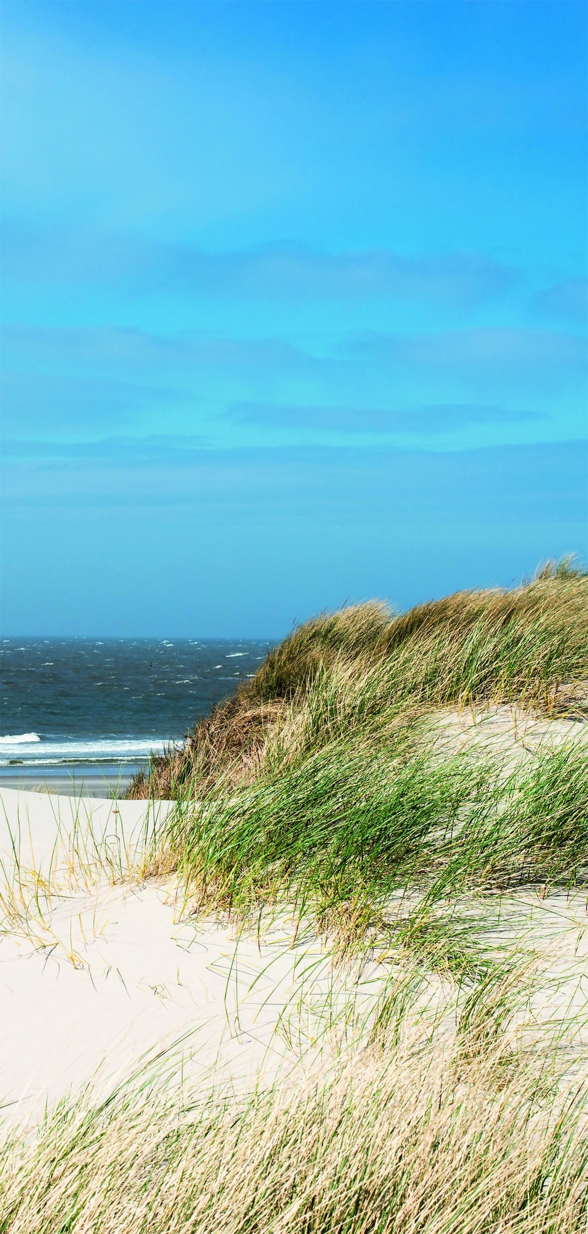 Sanotechnik - SANOWALL NORDSEE RECHTS Wandverkleidung 100x250x0,3cm