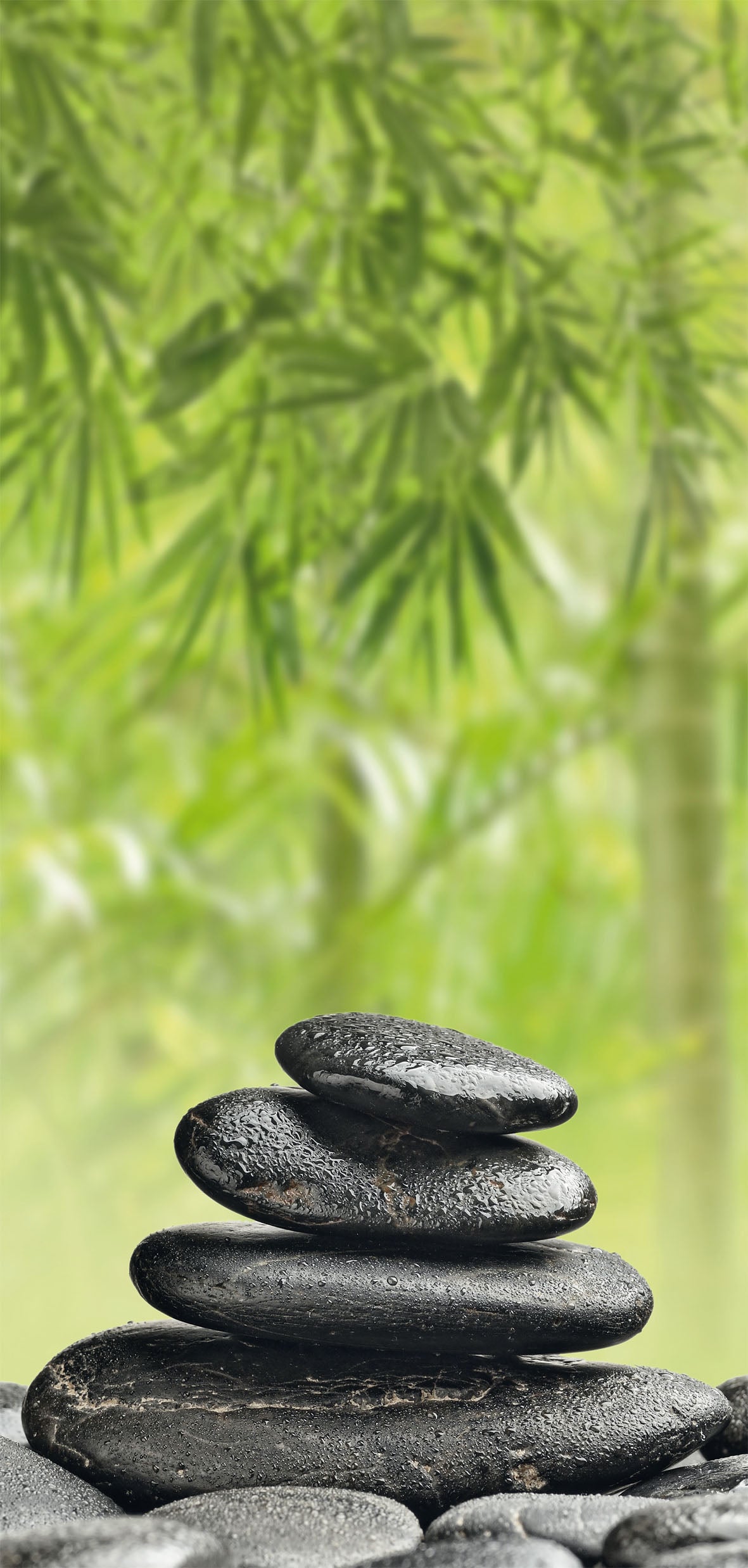 Sanowall Wellness links Sanowall