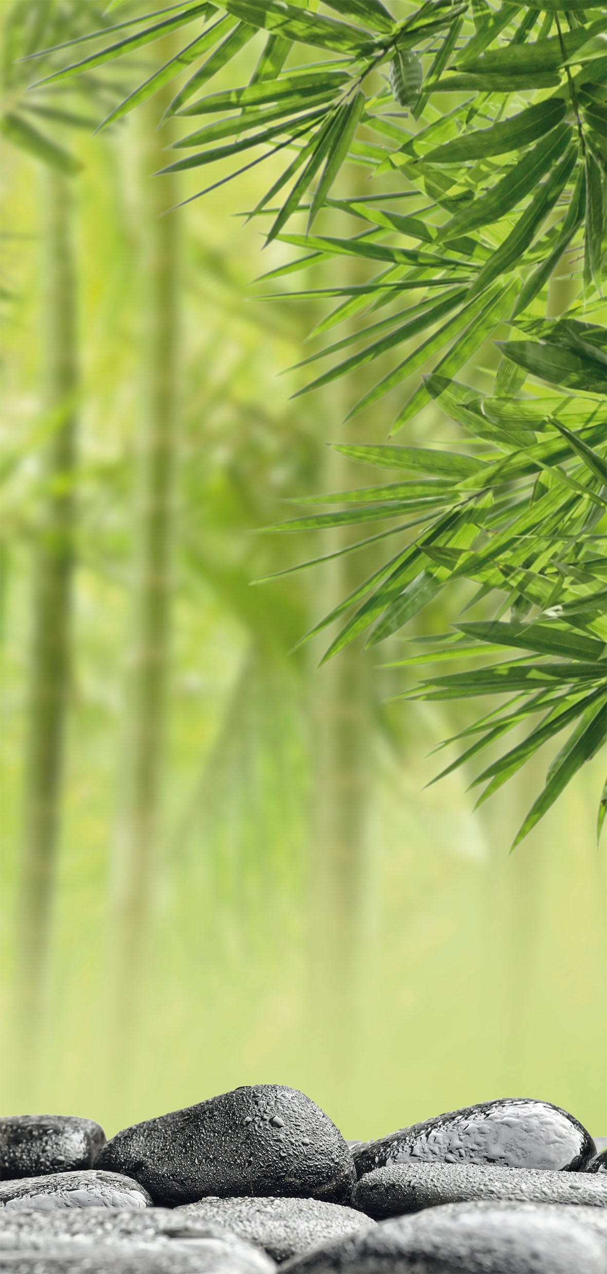 Sanowall Wellness rechts Sanowall