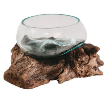 Teakwurzel Glasvasen