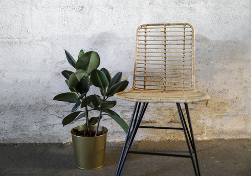 Rattan Stuhl Bauprofi