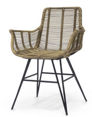 Rattan Stuhl Bauprofi