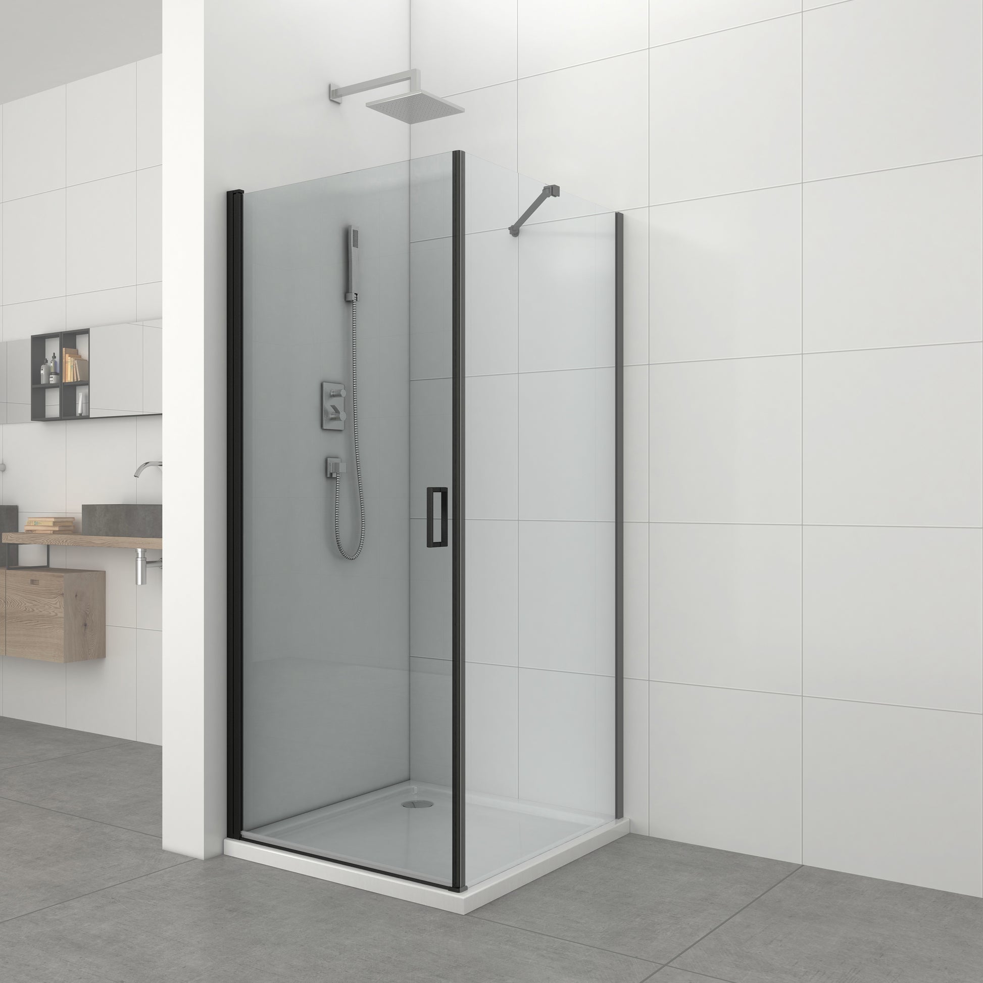 Sanotechnik ELITE BLACK Schwenktür Sanotechnik